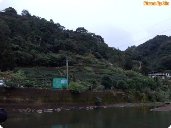 相揪來去坪林勘地