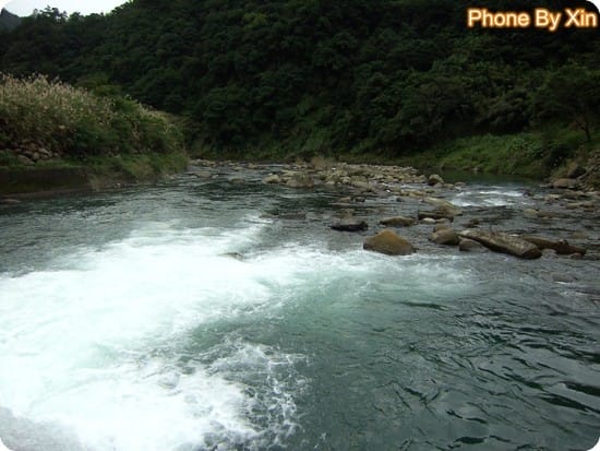 相揪來去坪林勘地