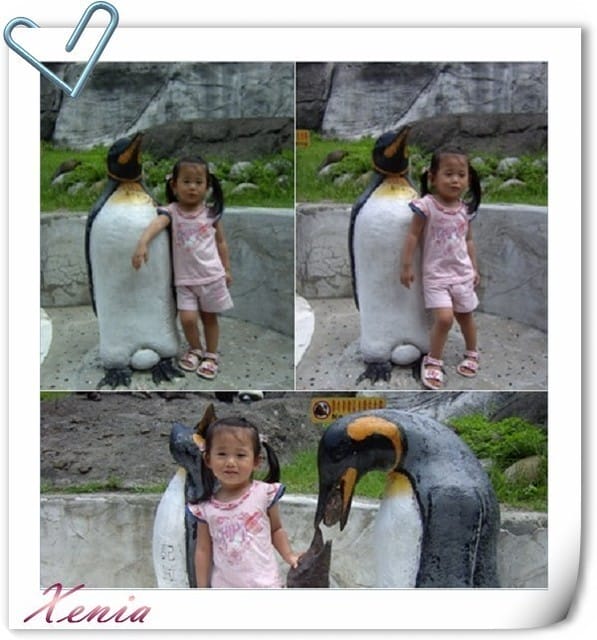 ├ 趴趴走 ┤ 2012年夏日動物園 part 1 - 第8張圖 ├ 趴趴走 ┤ 2012年夏日動物園 part 1