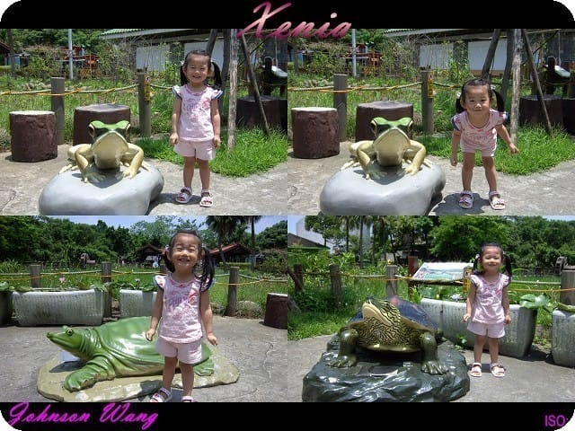 ├ 趴趴走 ┤ 2012年夏日動物園 part 1 - 第4張圖 ├ 趴趴走 ┤ 2012年夏日動物園 part 1