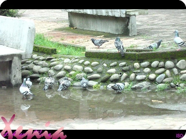 ├ 趴趴走 ┤ 公園趴趴走 - 第3張圖 ├ 趴趴走 ┤ 公園趴趴走