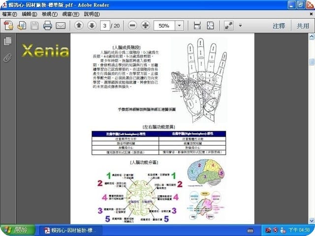 【補充】 Xenia的幼腦檢測報告 - 第3張圖 【補充】 Xenia的幼腦檢測報告