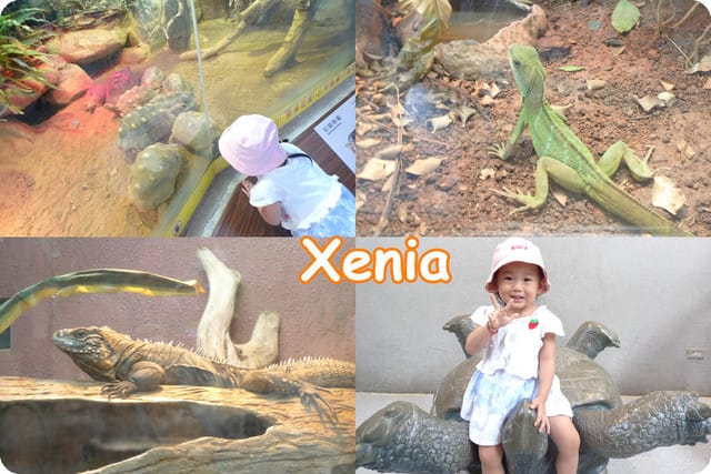 ├ 趴趴走 ┤ 快閃動物園 - 第9張圖 ├ 趴趴走 ┤ 快閃動物園