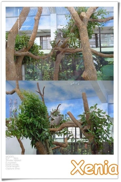 ├ 趴趴走 ┤ 快閃動物園 - 第4張圖 ├ 趴趴走 ┤ 快閃動物園