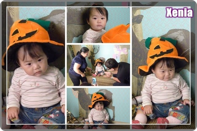 ├ 趴趴走 ┤ 追鴿趣 & 拍照趣 - 第13張圖 ├ 趴趴走 ┤ 追鴿趣 & 拍照趣