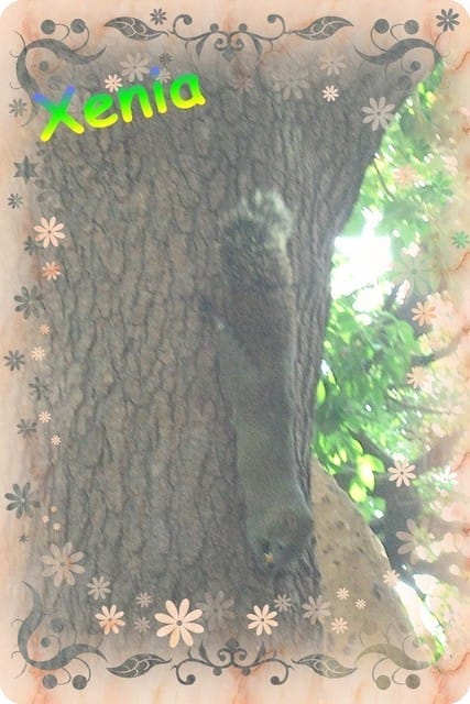 ├ 趴趴走 ┤228和平公園遊記