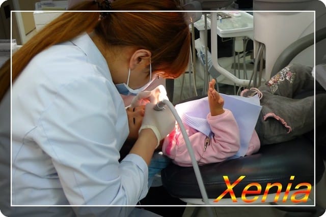 Xenia定期牙檢