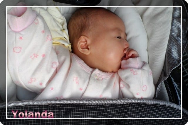 Yoland  2M06D