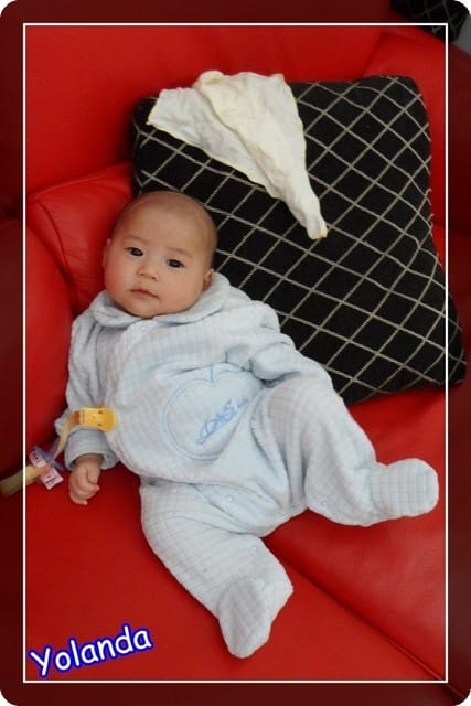 ├龍寶聚會趣┤小二寶家集合 - 第12張圖 ├龍寶聚會趣┤小二寶家集合