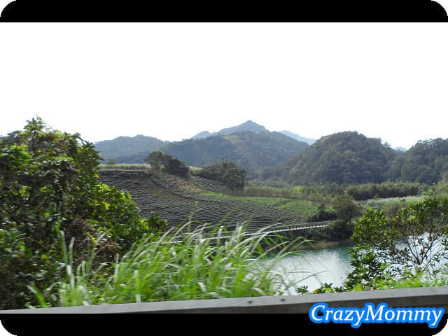├ 過年樂趣多 ┤千島湖半日遊