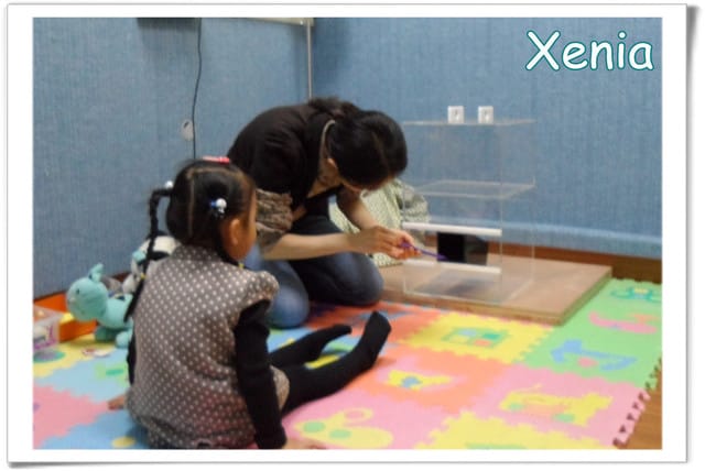 ├ 玩樂學知趣 ┤Xenia政大配合實驗
