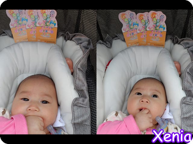 ├ 牛寶玩樂趣 ┤糖果夢公園