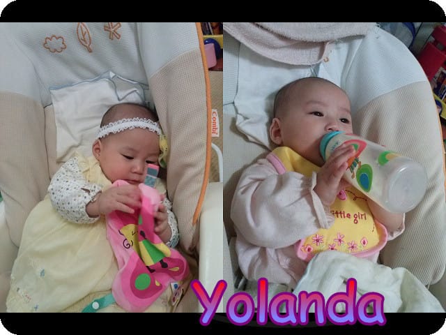 Yolanda的新伙伴