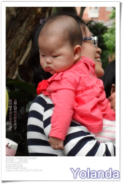 ├ 龍寶聚會趣 ┤台大校園趴趴走