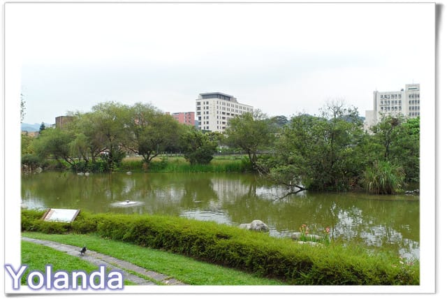 ├ 龍寶聚會趣 ┤台大校園趴趴走