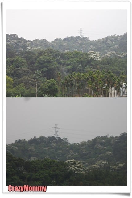 三峽探班去 - 第5張圖 三峽探班去