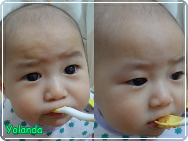 【Yolanda成長點滴】6M第一次嚐副食品(蘋果泥) - 第5張圖 【Yolanda成長點滴】6M第一次嚐副食品(蘋果泥)