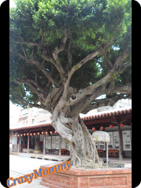 ├ 渡假玩樂趣 ┤鹿港龍山寺 - 第6張圖 ├ 渡假玩樂趣 ┤鹿港龍山寺