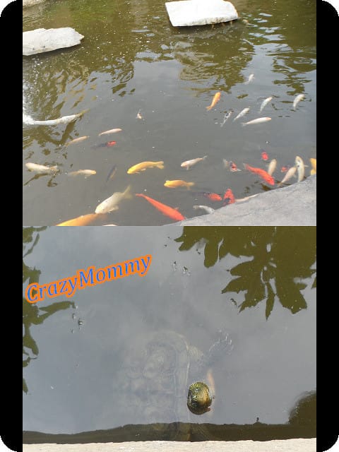 ├ 渡假玩樂趣 ┤鹿港龍山寺 - 第8張圖 ├ 渡假玩樂趣 ┤鹿港龍山寺