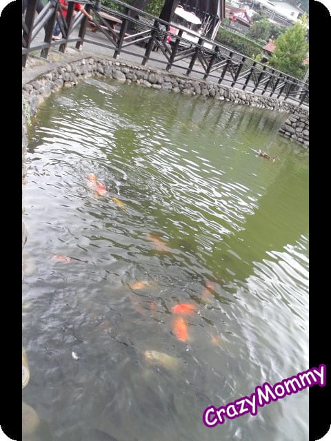 ├ 避暑享受趣 ┤家族夏季遊