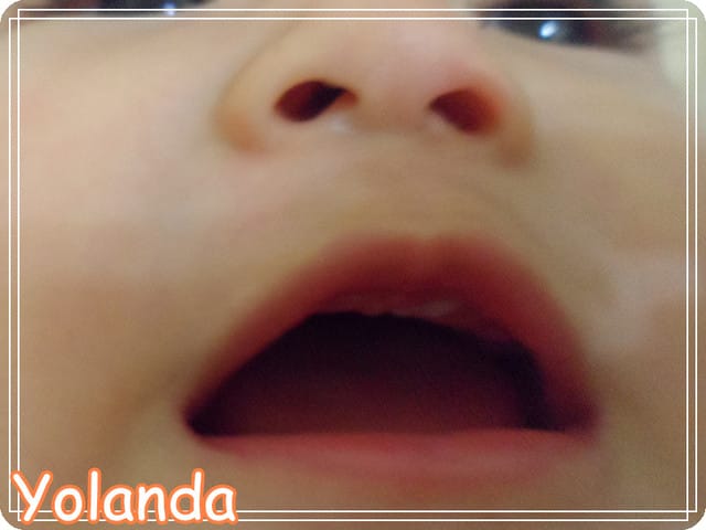 【Yolanda成長點滴】9M11D 哈麥兩齒的Yolanda