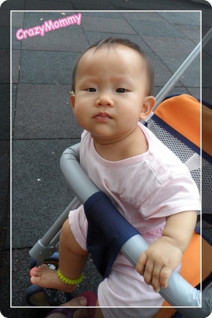 ├ 媽寶放風趣 ┤228紀念公園 - 第3張圖 ├ 媽寶放風趣 ┤228紀念公園