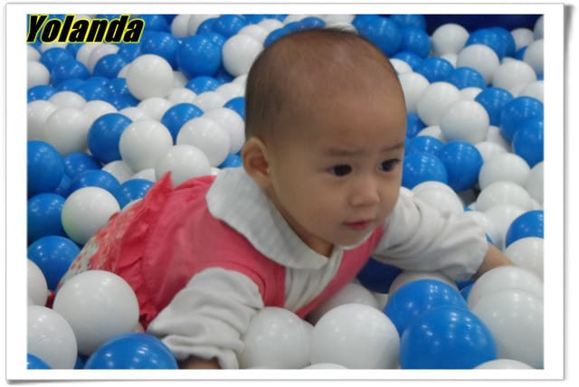 ├ 龍寶玩樂趣 ┤又又星樂園