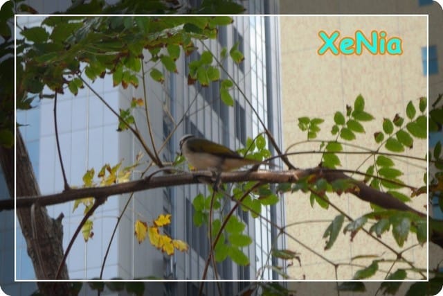 ├ 牛寶玩樂去 ┤童趣卡通公園 - 第7張圖 ├ 牛寶玩樂去 ┤童趣卡通公園