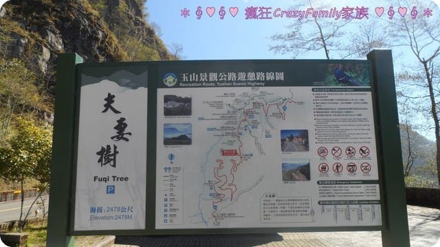 ├ 家庭旅遊趣 ┤新中橫之旅 - 第7張圖 ├ 家庭旅遊趣 ┤新中橫之旅