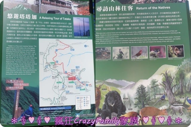 ├ 家庭旅遊趣 ┤新中橫之旅 - 第21張圖 ├ 家庭旅遊趣 ┤新中橫之旅