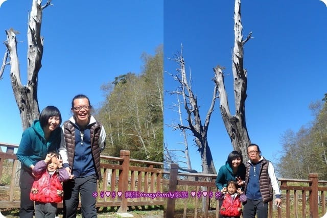 ├ 家庭旅遊趣 ┤新中橫之旅 - 第13張圖 ├ 家庭旅遊趣 ┤新中橫之旅