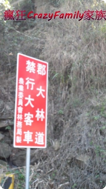 ├ 家庭旅遊趣 ┤新中橫之旅 - 第35張圖 ├ 家庭旅遊趣 ┤新中橫之旅