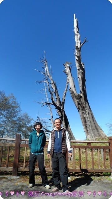 ├ 家庭旅遊趣 ┤新中橫之旅 - 第12張圖 ├ 家庭旅遊趣 ┤新中橫之旅