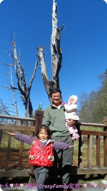 ├ 家庭旅遊趣 ┤新中橫之旅 - 第10張圖 ├ 家庭旅遊趣 ┤新中橫之旅