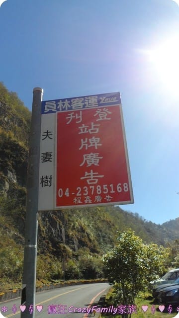 ├ 家庭旅遊趣 ┤新中橫之旅 - 第8張圖 ├ 家庭旅遊趣 ┤新中橫之旅