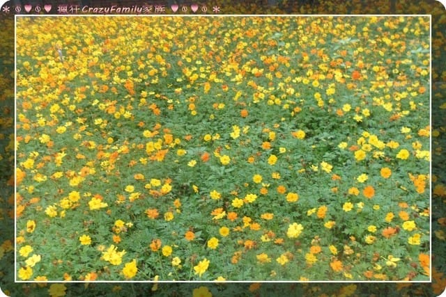 ├ 媽寶拍照趣 ┤朔風獵獵之435藝文特區