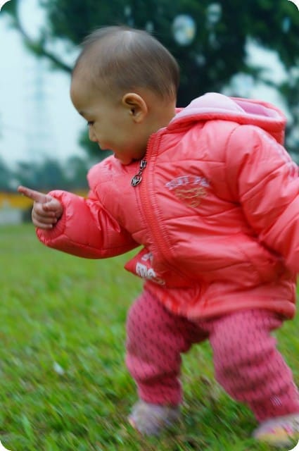 2014年冬季之自然寫真 - 第19張圖 2014年冬季之自然寫真