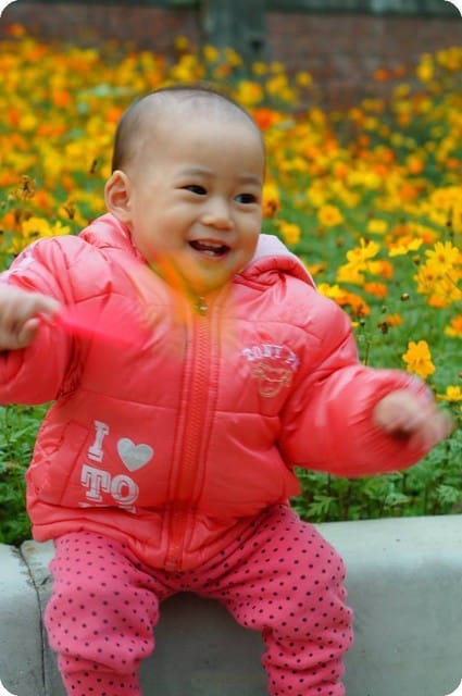 2014年冬季之自然寫真 - 第10張圖 2014年冬季之自然寫真