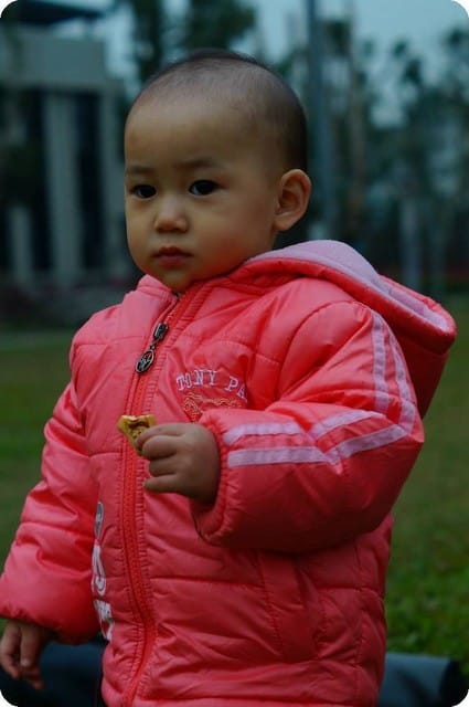 2014年冬季之自然寫真 - 第16張圖 2014年冬季之自然寫真
