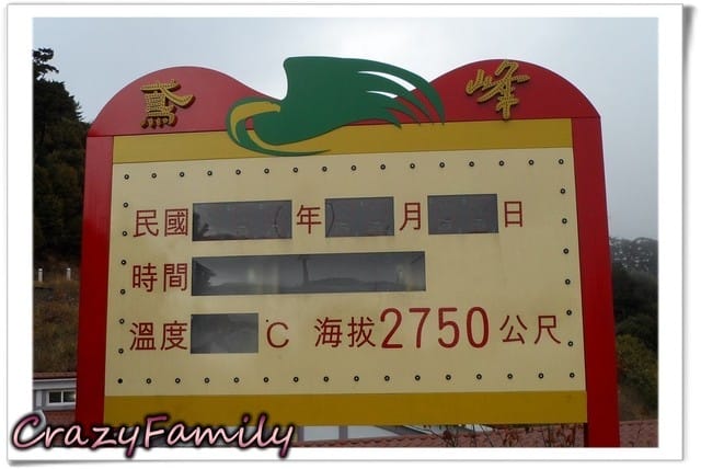 南投清境一日遊