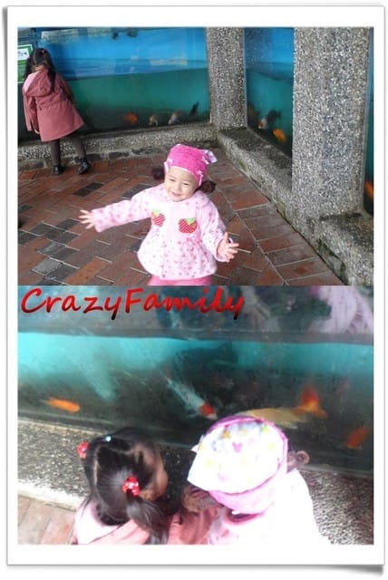 ├ 家族趴趴走 ┤南投半日遊