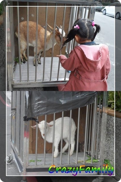 ├ 媽寶趴趴走 ┤美術園道
