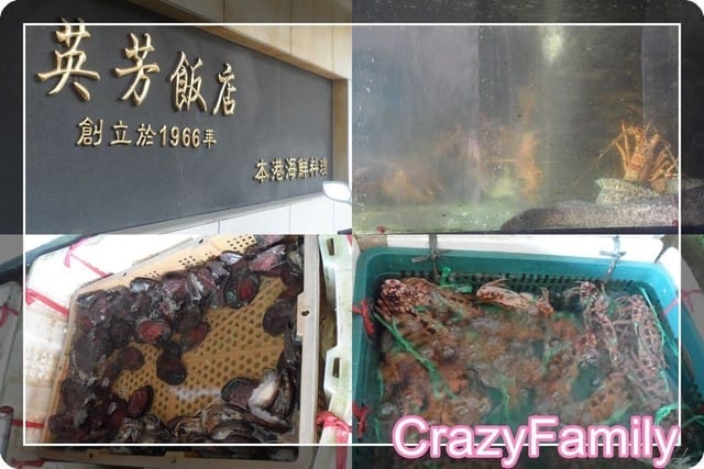 ├ 家族祭祖去 ┤飲水思源的重要性