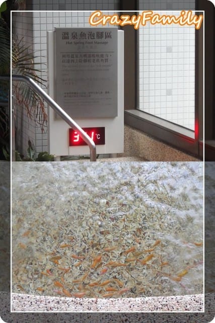 ├ 媽寶度假趣 ┤礁溪長榮鳳凰酒店 - 第19張圖 ├ 媽寶度假趣 ┤礁溪長榮鳳凰酒店