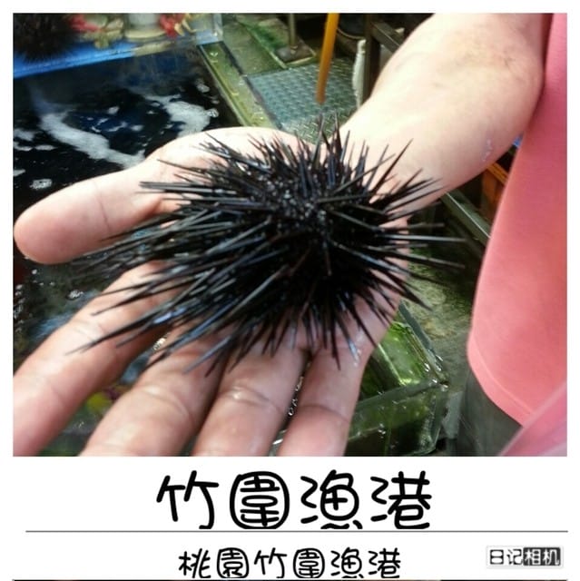 ├ 家族玩樂去 ┤桃園半日遊+烤肉趴