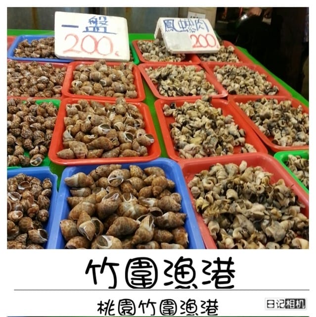 ├ 家族玩樂去 ┤桃園半日遊+烤肉趴