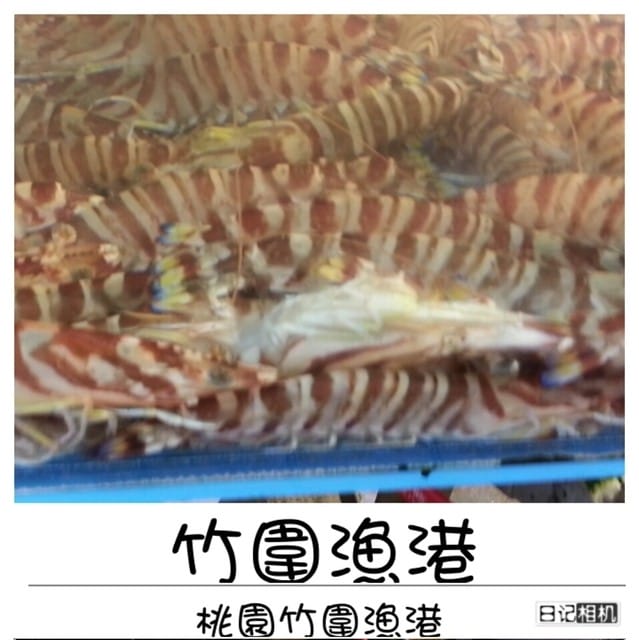 ├ 家族玩樂去 ┤桃園半日遊+烤肉趴