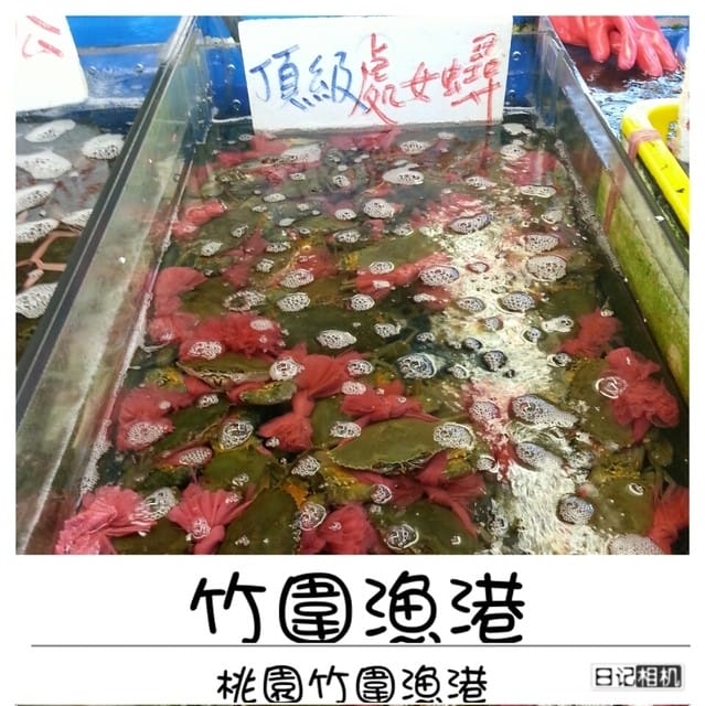 ├ 家族玩樂去 ┤桃園半日遊+烤肉趴