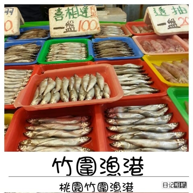 ├ 家族玩樂去 ┤桃園半日遊+烤肉趴