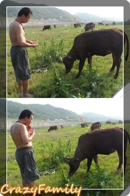 ├ 家族玩樂去 ┤桃園半日遊+烤肉趴